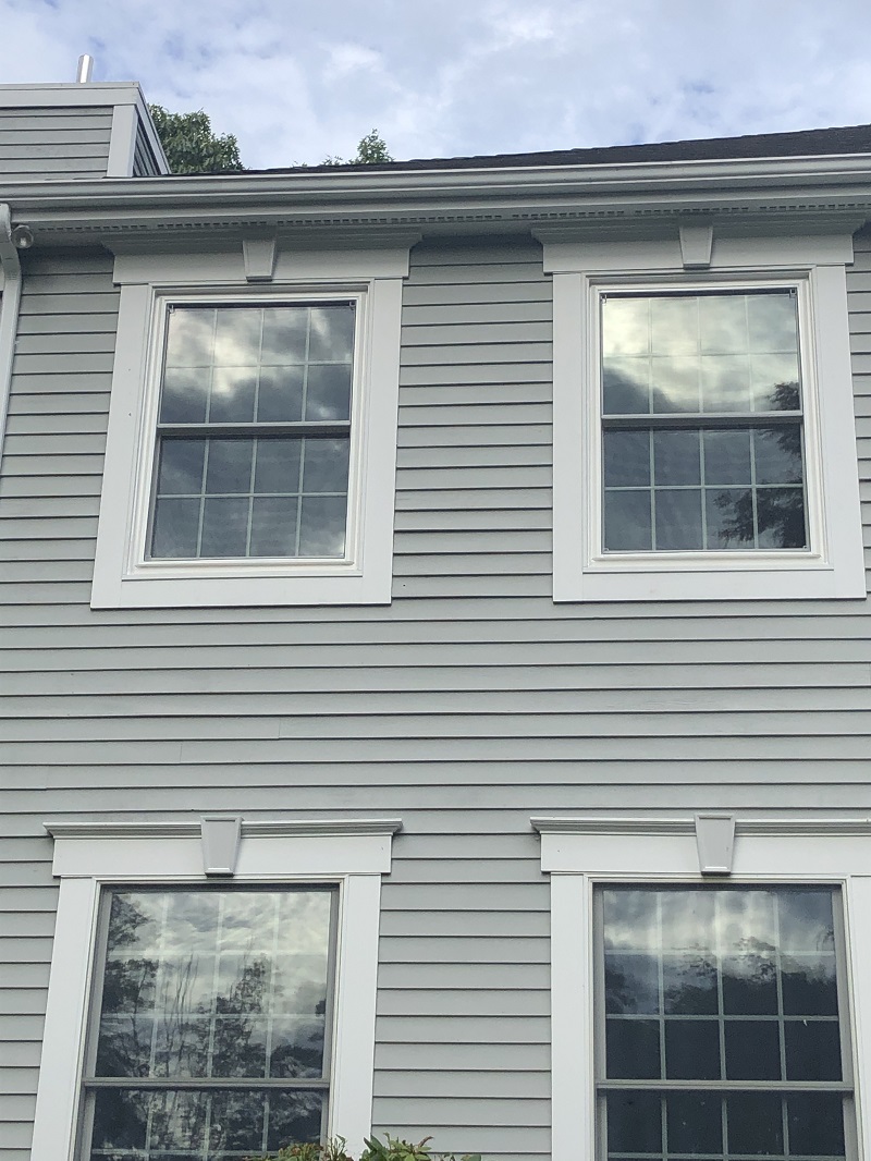 Pella 250 Series Double Hung windows